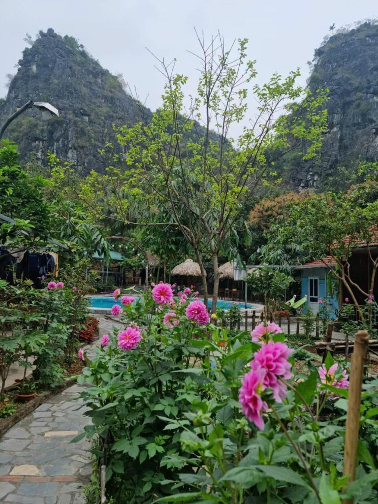 Hoalu Backpacker Homestay ニンビン エクステリア 写真